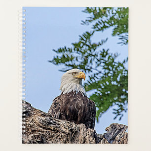 2024 Kale adelaar Planner