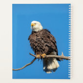 2024 Kale adelaar Planner (Achterkant)