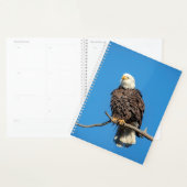 2024 Kale adelaar Planner (Display)