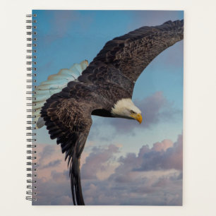 2024 Kale adelaar Planner