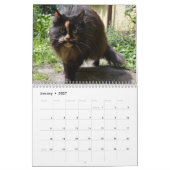 2024 Kalender Top Cats Nederland Evenementen & Fee (Jan 2027)