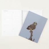 2024 Korte Owl Planner (Display)