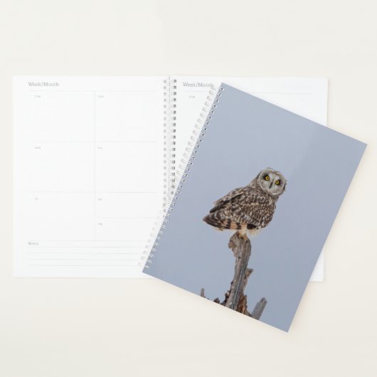 2024 Korte Owl Planner (Display)