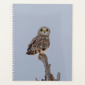 2024 Korte Owl Planner (Voorkant)