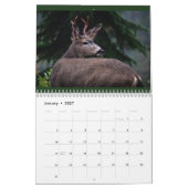 2024 La nature à travers mon calendrier lentille (Jan 2027)