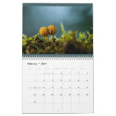 2024 La nature à travers mon calendrier lentille (Feb 2027)