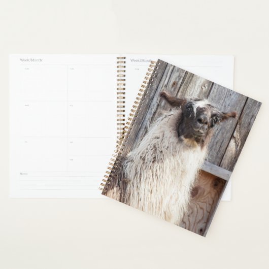 2024 Llama op het boerderij Planner (Display)