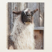 2024 Llama op het boerderij Planner (Voorkant)