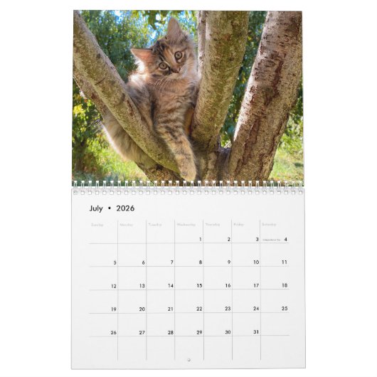 2024 Maandelijkse Muur Cat Kalender (Jul 2026)
