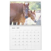 2024 Mustang Mission's wilde paarden - Kalender (Mar 2027)