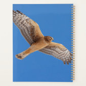 2024 Northern Harrier Hawk Planner (Achterkant)