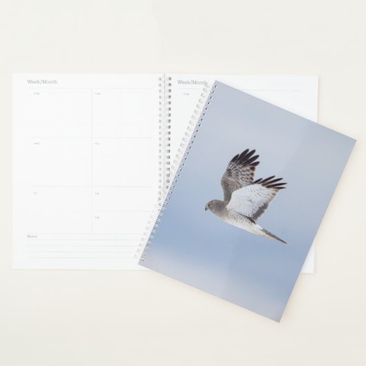 2024 Northern Harrier Hawk Planner (Display)