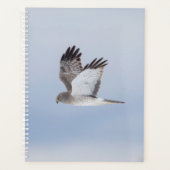 2024 Northern Harrier Hawk Planner (Voorkant)
