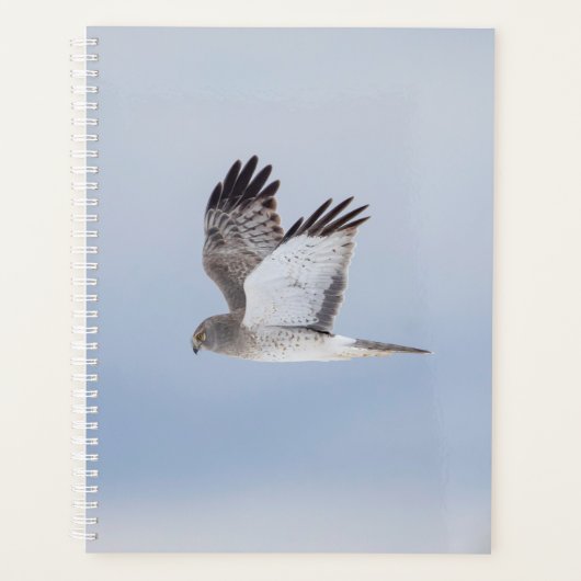 2024 Northern Harrier Hawk Planner (Voorkant)