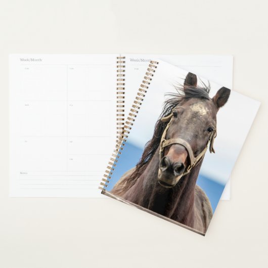 2024 Paard Planner (Display)