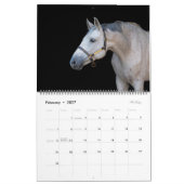 2024 Paardenfotokalender Kalender (Feb 2027)