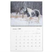 2024 Paardenfotokalender Kalender (Jan 2027)