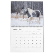 2024 Paardenfotokalender Kalender (Jan 2026)
