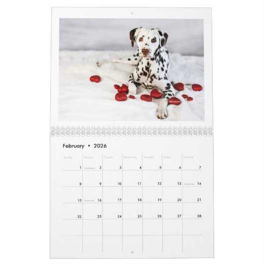 2024 Peace Love & Chocolate Dalmatien Calendrier (Feb 2026)