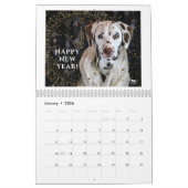 2024 Peace Love & Chocolate Dalmatien Calendrier (Jan 2026)