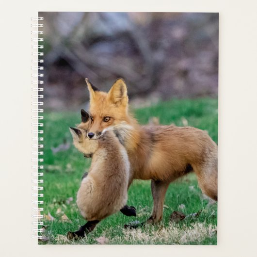2024 Red Fox en Kit Planner (Voorkant)