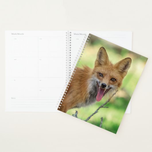 2024 Red Fox Planner (Display)