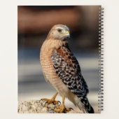 2024 Rode schouder Hawk Planner (Achterkant)