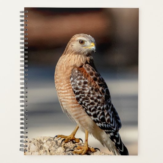 2024 Rode schouder Hawk Planner (Voorkant)