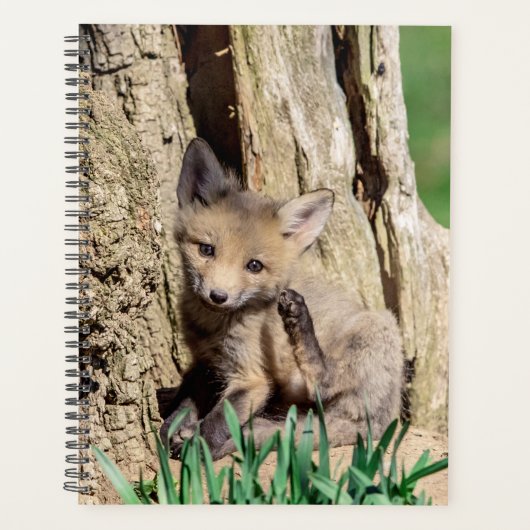 2024 Rode Vos Kit Planner (Voorkant)