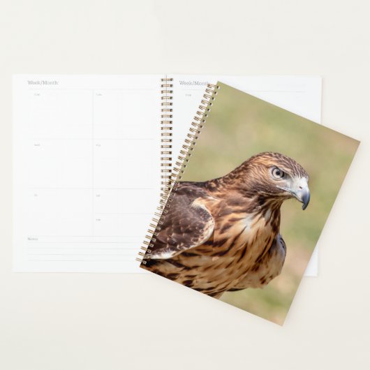 2024 Roodstaarthavik Planner (Display)