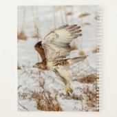 2024 Roodstaarthavik Planner (Achterkant)