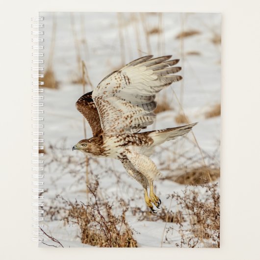 2024 Roodstaarthavik Planner (Voorkant)