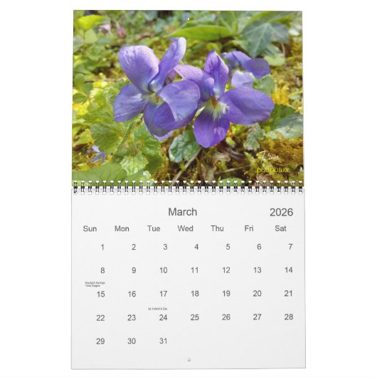 2024 sera le calendrier coloré (Mar 2026)