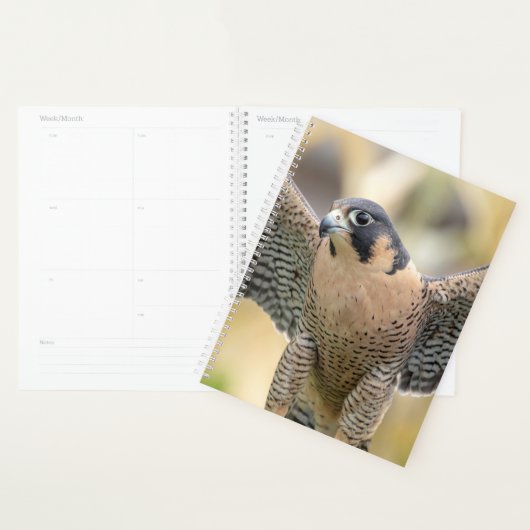 2024 slechtvalk planner (Display)