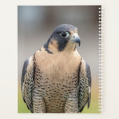 2024 slechtvalk planner (Achterkant)