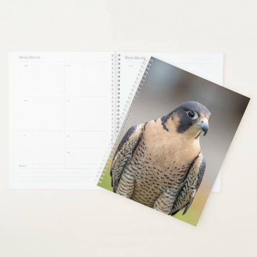 2024 slechtvalk planner (Display)