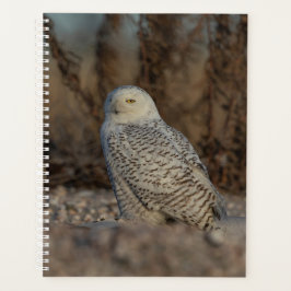 2024 Sneeuwuil Planner