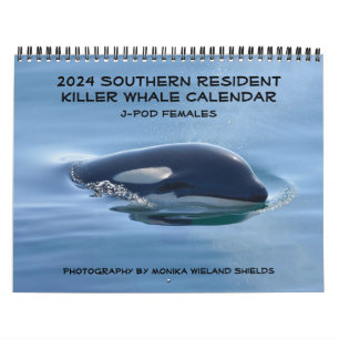 2024 Southern Resident Killer Whale Kalender