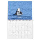 2024 Southern Resident Killer Whale Kalender (Jan 2026)