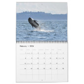 2024 Southern Resident Killer Whale Kalender (Feb 2026)