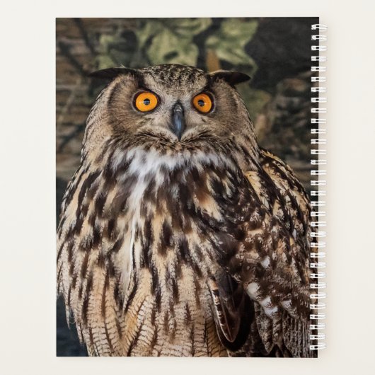 2024 Uil Planner (Achterkant)