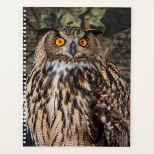 2024 Uil Planner