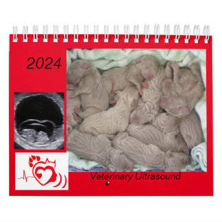 2024 Veterinaire ultrasone beeldvormingskalender Kalender