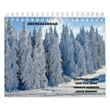 2024 Vier seizoenen bos