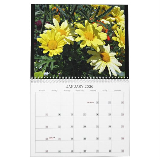 2024 Visions merveilleuses... Calendrier mural moy (Jan 2026)