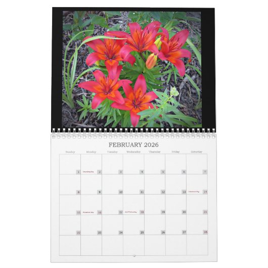 2024 Visions merveilleuses... Calendrier mural moy (Feb 2026)