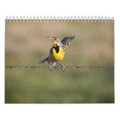 2024 Wildlife Calendar Kalender (Hoes)