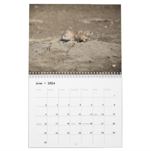 2024 Wildlife Calendar Kalender