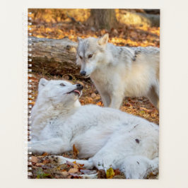 2024 Wolf Planner