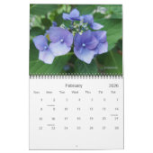 2024 wordt kleurrijke kalender (Feb 2026)